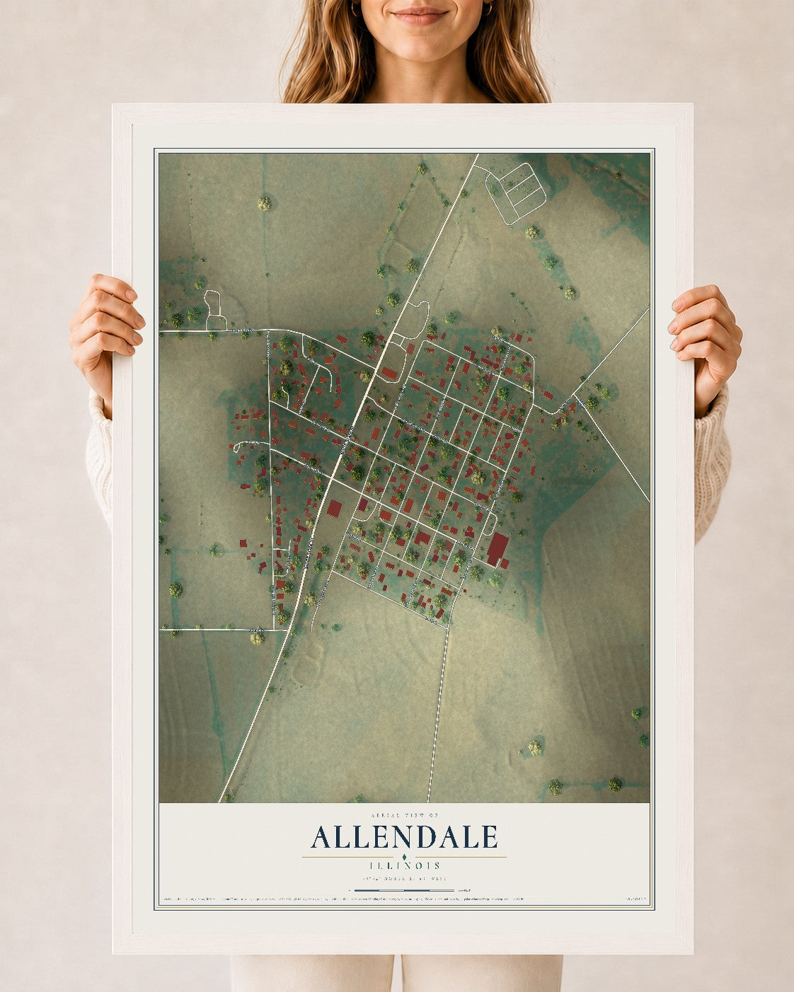 Map of Allendale, Illinois, 24 x 36 inch print in a white wood frame