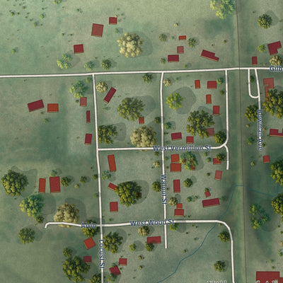Close-up of the map of Alvan (Alvin), Illinois print showing street and building detail