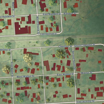 Close-up of the map of Apple River, Illinois print showing street and building detail
