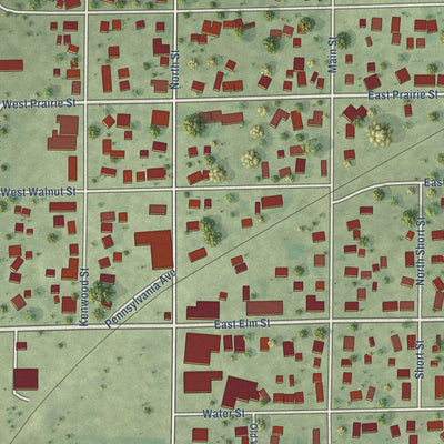 Close-up of the map of Argenta, Illinois print showing street and building detail