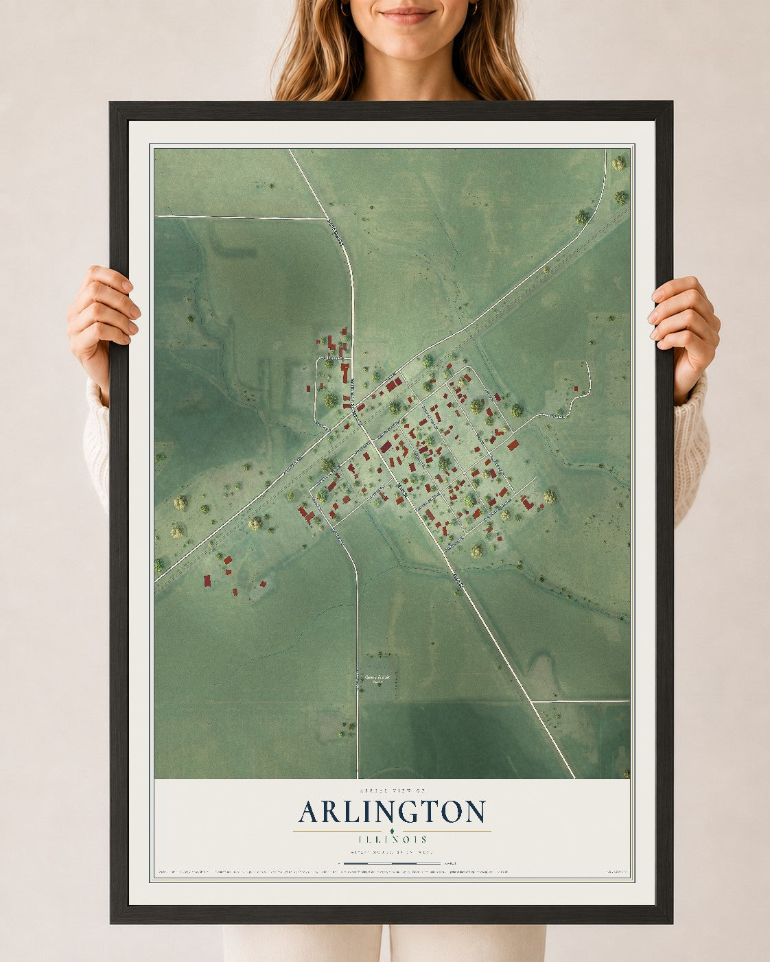 Map of Arlington, Illinois, 24 x 36 inch print in a black wood frame