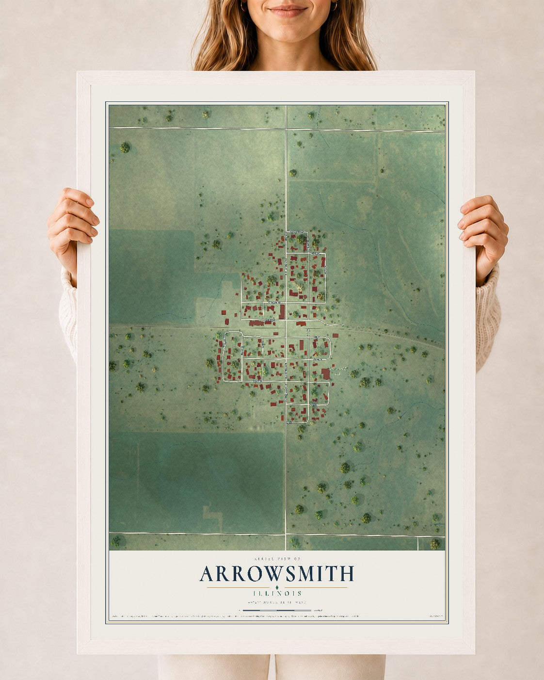 Map of Arrowsmith, Illinois, 24 x 36 inch print in a white wood frame
