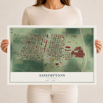 Map of Assumption, Illinois, 12 x 18 inch unframed archival matte print