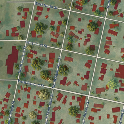 Second close-up of the map of Assumption, Illinois print showing more streets and buildings