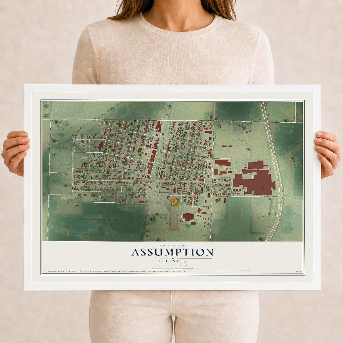 Map of Assumption, Illinois, 12 x 18 inch print in a white wood frame