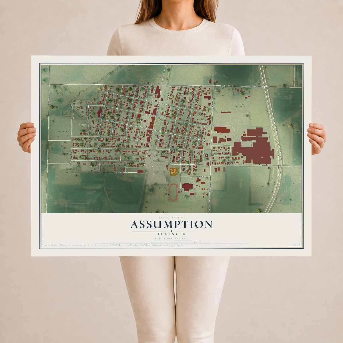 Map of Assumption, Illinois, 24 x 36 inch unframed archival matte print