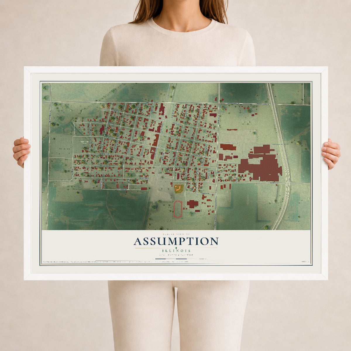 Map of Assumption, Illinois, 24 x 36 inch print in a white wood frame