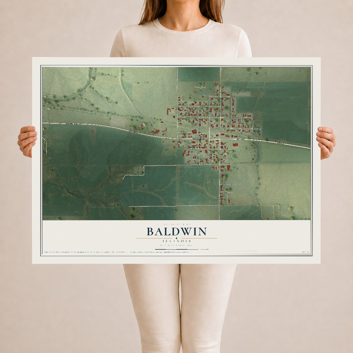 Map of Baldwin, Illinois, 24 x 36 inch unframed archival matte print