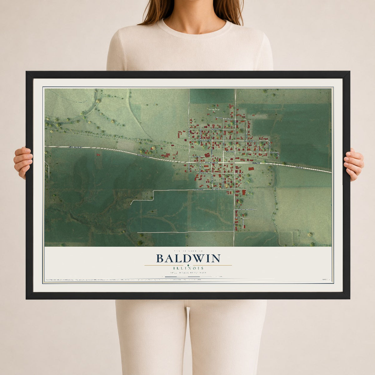Map of Baldwin, Illinois, 24 x 36 inch print in a black wood frame