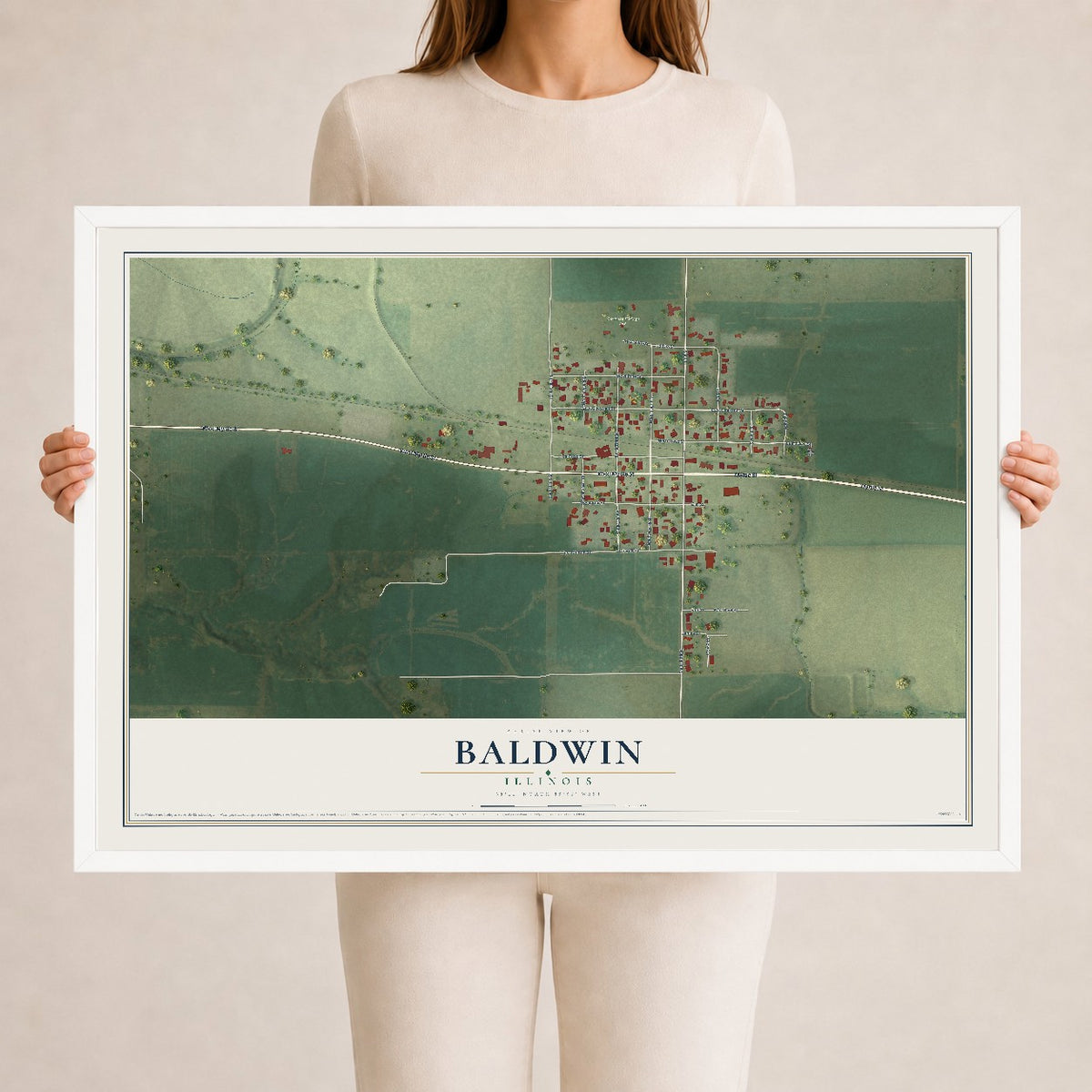 Map of Baldwin, Illinois, 24 x 36 inch print in a white wood frame