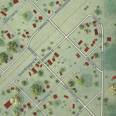 Close-up of the map of Bardolph, Illinois print showing street and building detail