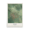 Map of Barry, Illinois, 12 x 18 inch unframed archival matte print