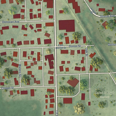 Close-up of the map of Beaverville, Illinois print showing street and building detail