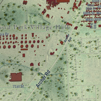 Close-up of the map of Bedford Park, Illinois print showing street and building detail
