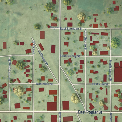 Close-up of the map of Beecher City, Illinois print showing street and building detail