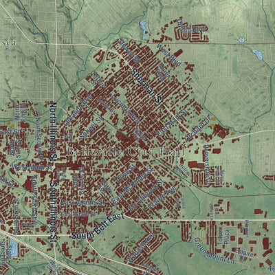 Close-up of the map of Belleville, Illinois print showing street and building detail