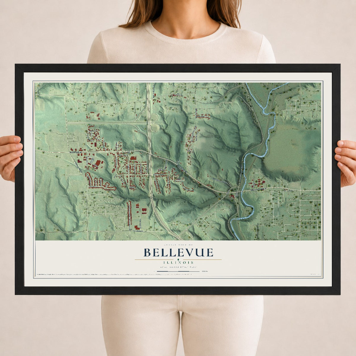 Map of Bellevue, Illinois, 18 x 24 inch print in a black wood frame