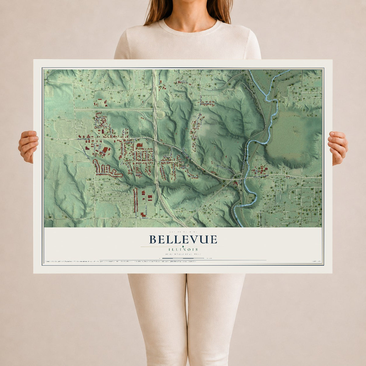 Map of Bellevue, Illinois, 24 x 36 inch unframed archival matte print
