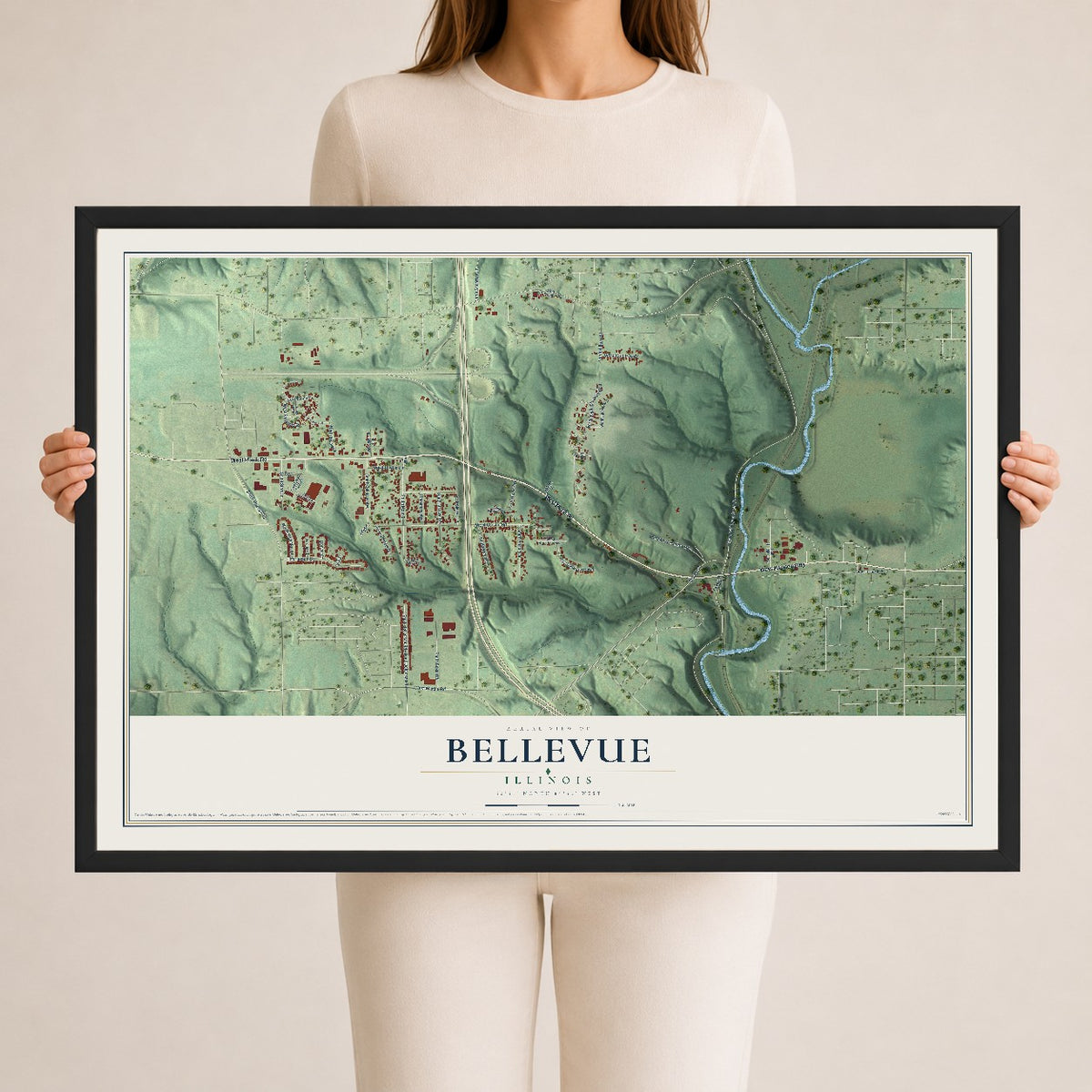 Map of Bellevue, Illinois, 24 x 36 inch print in a black wood frame
