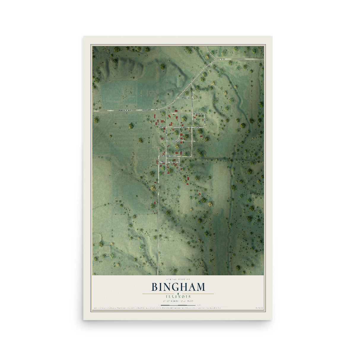 Map of Bingham, Illinois, 12 x 18 inch unframed archival matte print