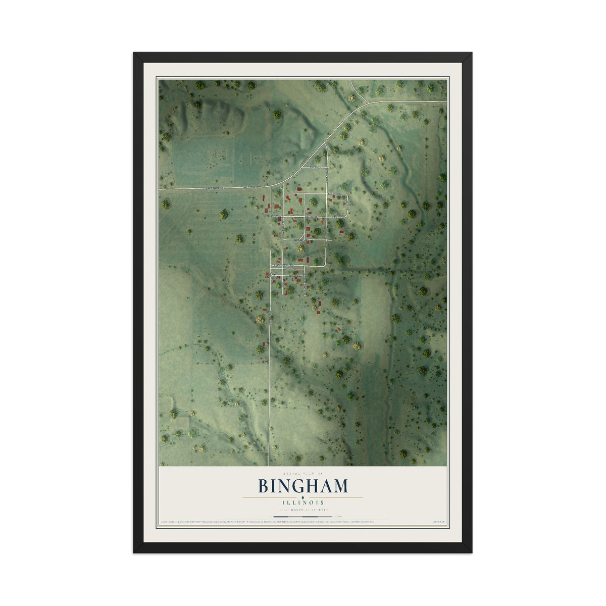 Map of Bingham, Illinois, 12 x 18 inch print in a black wood frame