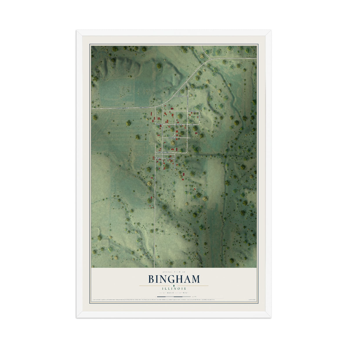 Map of Bingham, Illinois, 12 x 18 inch print in a white wood frame