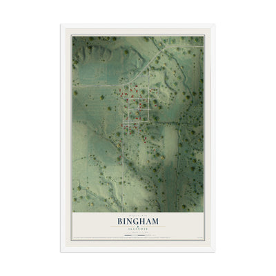 Map of Bingham, Illinois, 12 x 18 inch print in a white wood frame