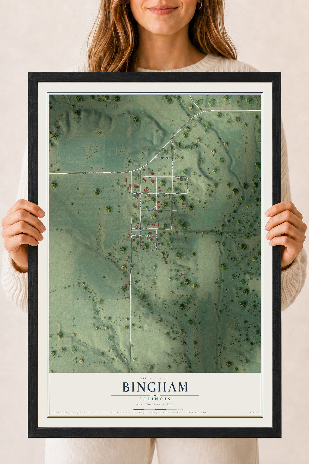 Map of Bingham, Illinois, 18 x 24 inch print in a black wood frame