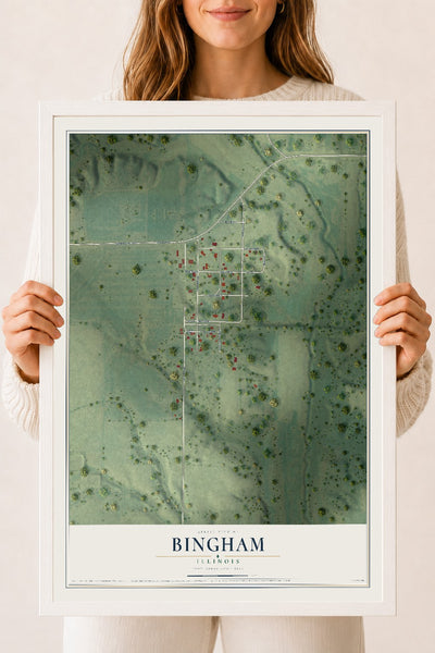Map of Bingham, Illinois, 18 x 24 inch print in a white wood frame
