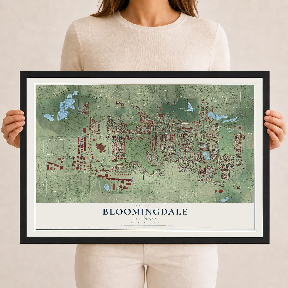Map of Bloomingdale, Illinois, 12 x 18 inch print in a black wood frame