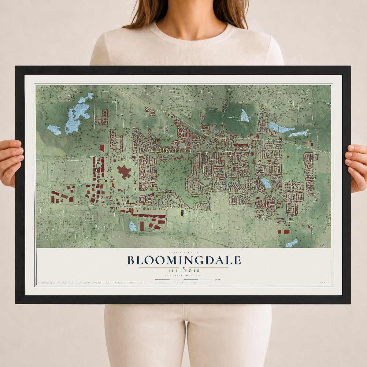 Map of Bloomingdale, Illinois, 18 x 24 inch print in a black wood frame