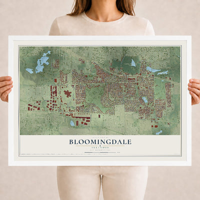 Map of Bloomingdale, Illinois, 18 x 24 inch print in a white wood frame