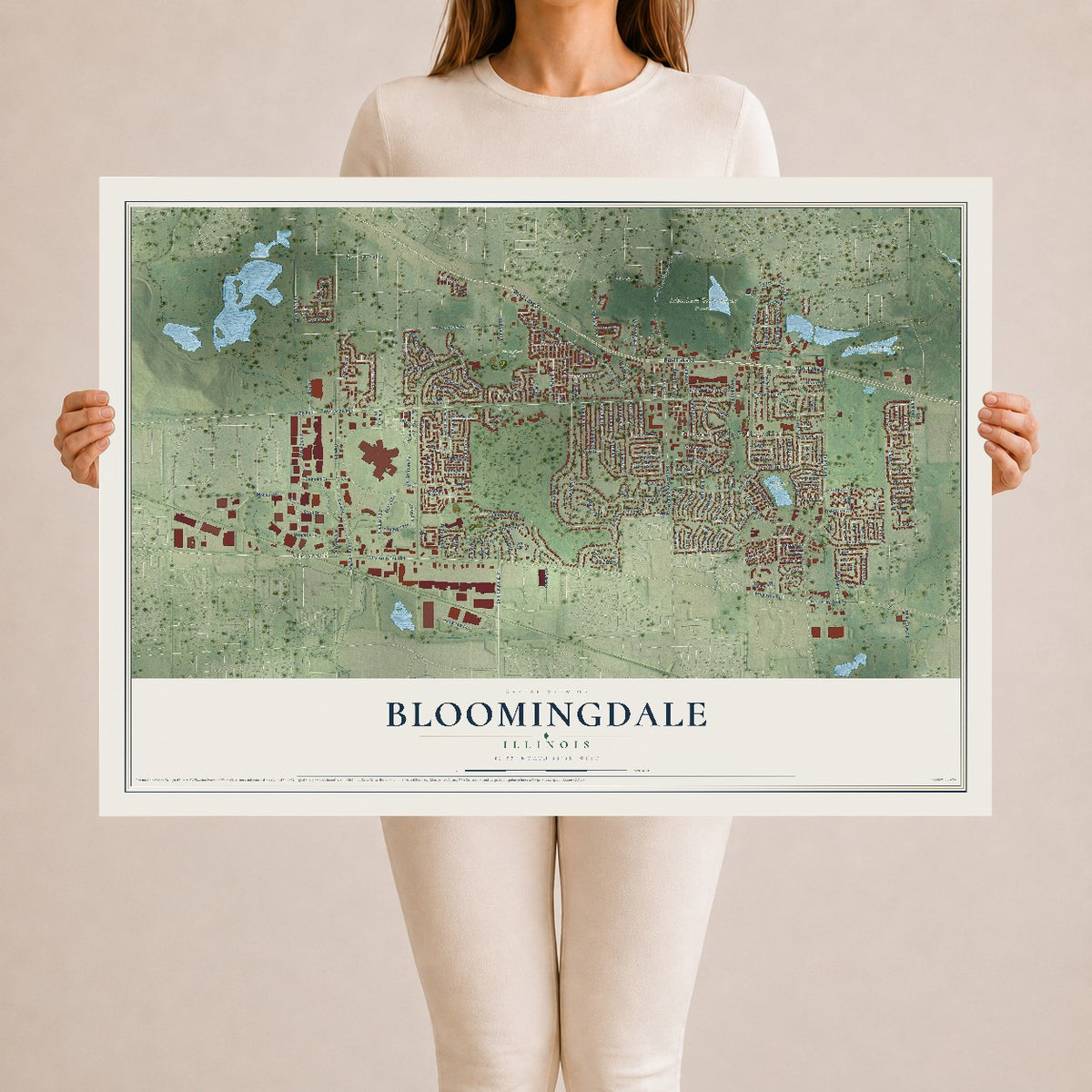 Map of Bloomingdale, Illinois, 24 x 36 inch unframed archival matte print