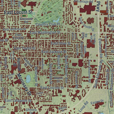 Second close-up of the map of Bloomington, Illinois print showing more streets and buildings