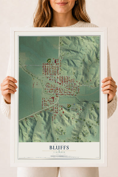 Map of Bluffs, Illinois, 18 x 24 inch print in a white wood frame