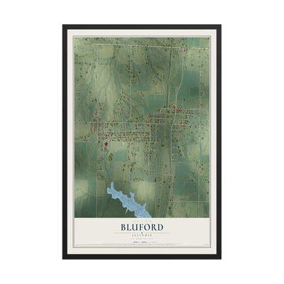 Map of Bluford, Illinois, 12 x 18 inch print in a black wood frame