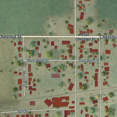 Close-up of the map of Bondville, Illinois print showing street and building detail