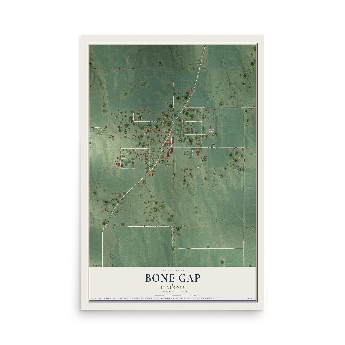 Map of Bone Gap, Illinois, 12 x 18 inch unframed archival matte print