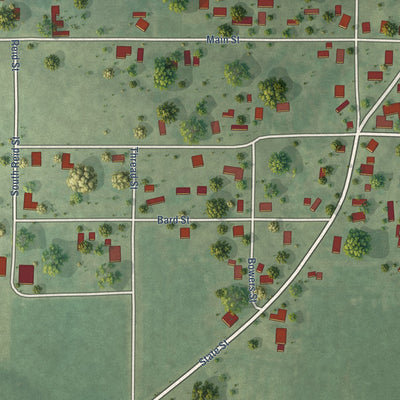 Close-up of the map of Bone Gap, Illinois print showing street and building detail