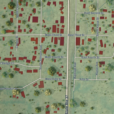 Close-up of the map of Bonnie, Illinois print showing street and building detail