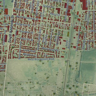 Close-up of the map of Bradley, Illinois print showing street and building detail