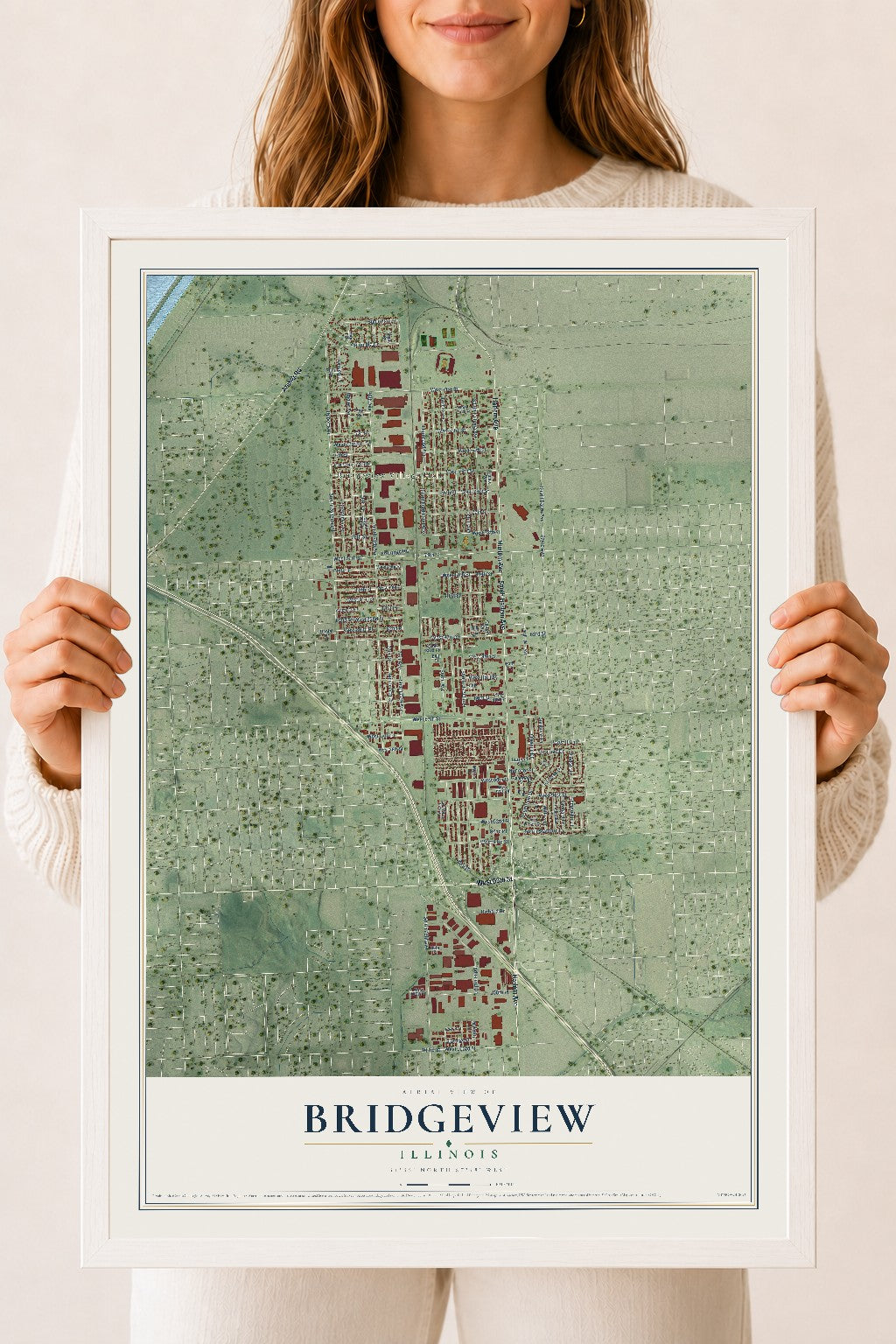 Map of Bridgeview, Illinois, 18 x 24 inch print in a white wood frame
