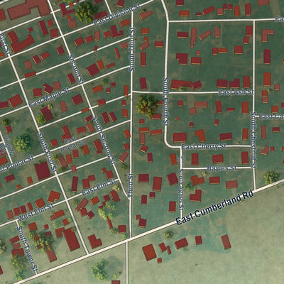 Close-up of the map of Brownstown, Illinois print showing street and building detail