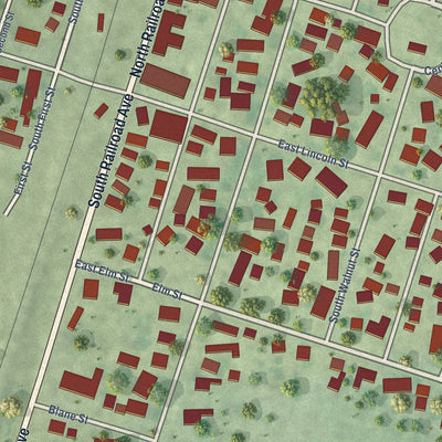 Close-up of the map of Buckley, Illinois print showing street and building detail