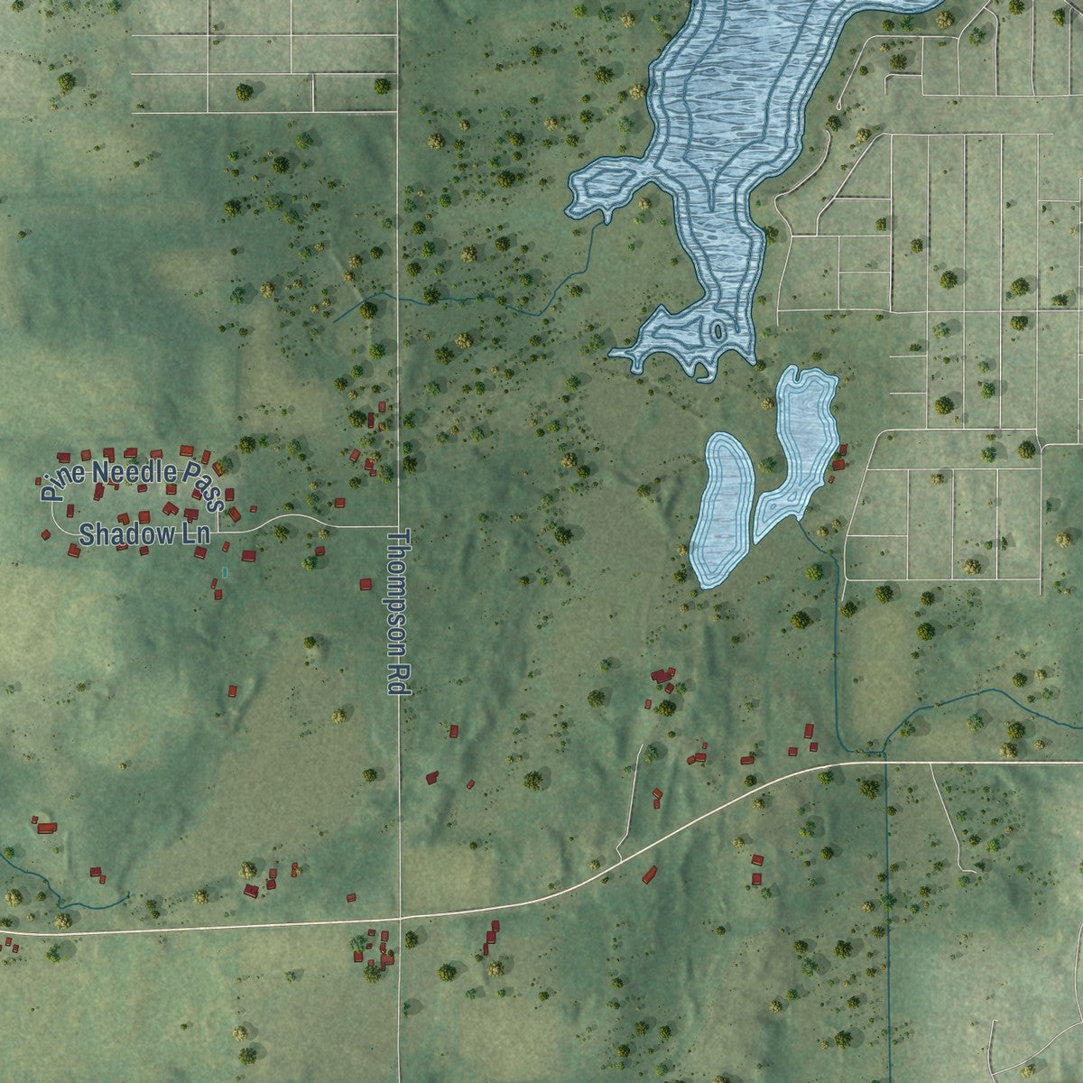 Second close-up of the map of Bull Valley, Illinois print showing more streets and buildings
