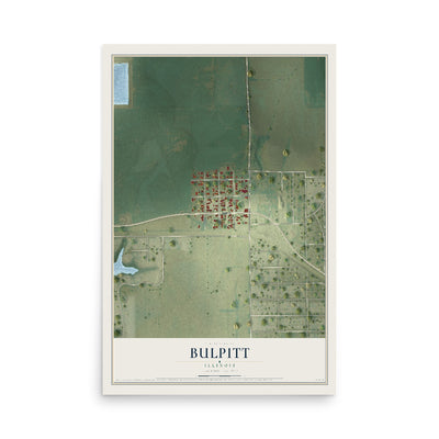 Map of Bulpitt, Illinois, 12 x 18 inch unframed archival matte print