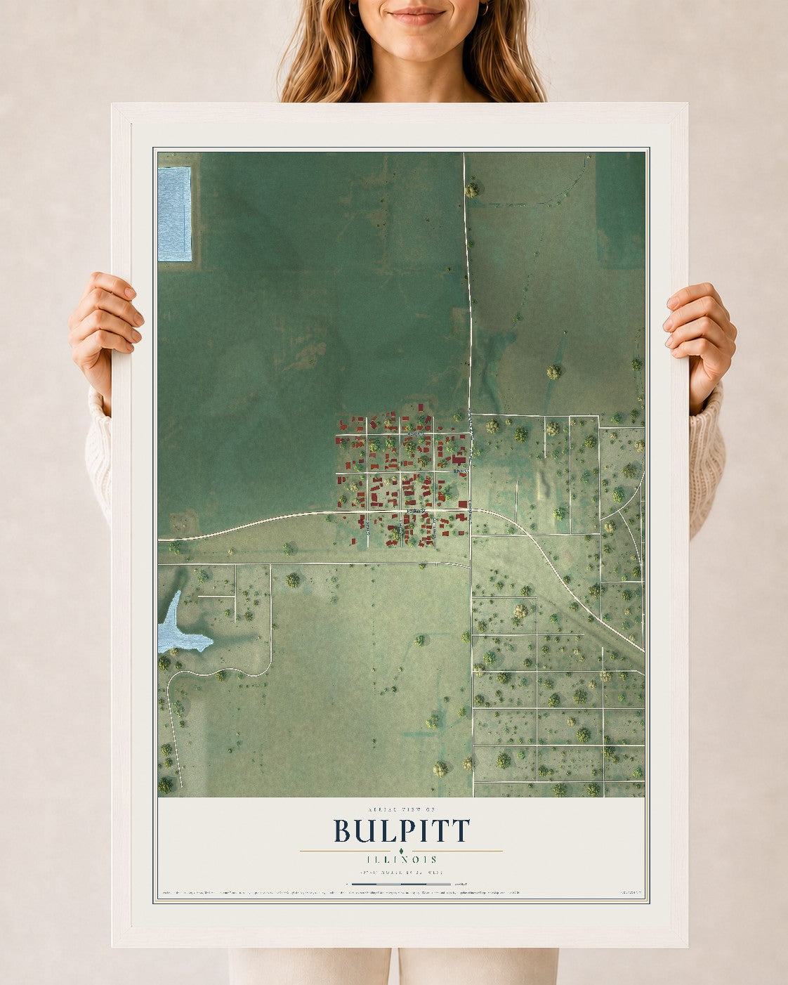 Map of Bulpitt, Illinois, 24 x 36 inch print in a white wood frame