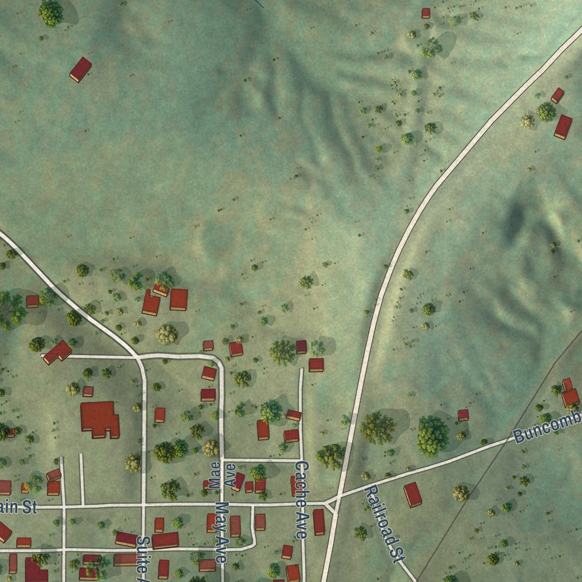 Close-up of the map of Buncombe, Illinois print showing street and building detail
