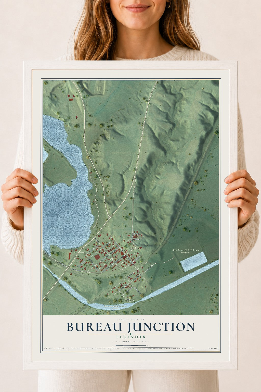 Map of Bureau Junction, Illinois, 18 x 24 inch print in a white wood frame