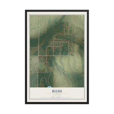 Map of Bush, Illinois, 12 x 18 inch print in a black wood frame